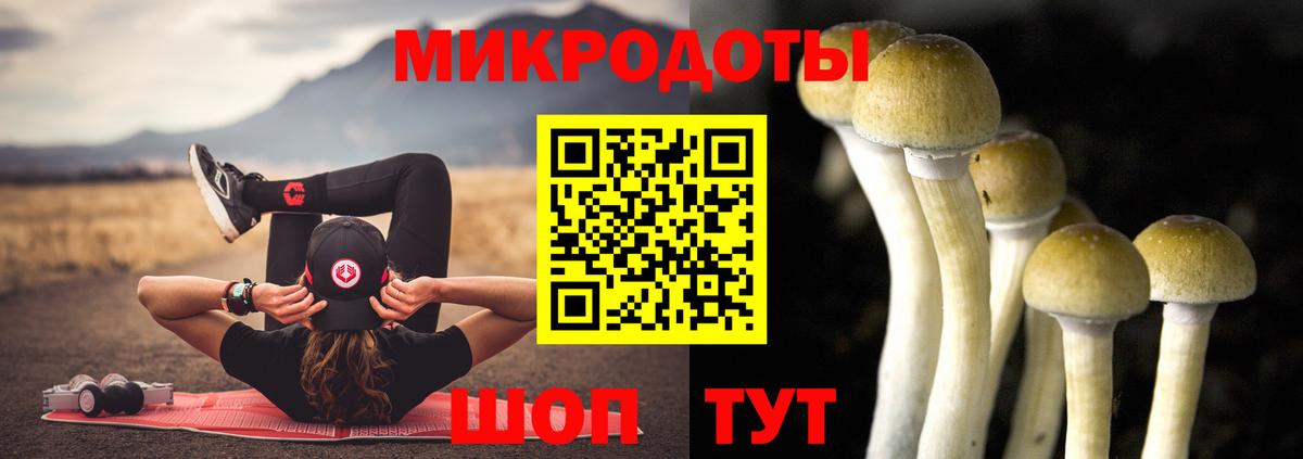 Галлюциногенные грибы Magic Shrooms Михайловск